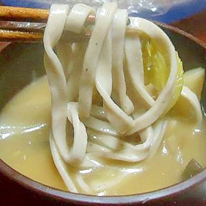 けんちんつけ蕎麦(茨城ご当地グルメ)